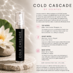 Cold Cascade (Inspiration - Davidoff Cold Water(Women)) | 2ml Perfume Decant